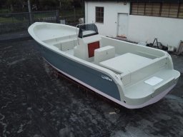 865 Escursion